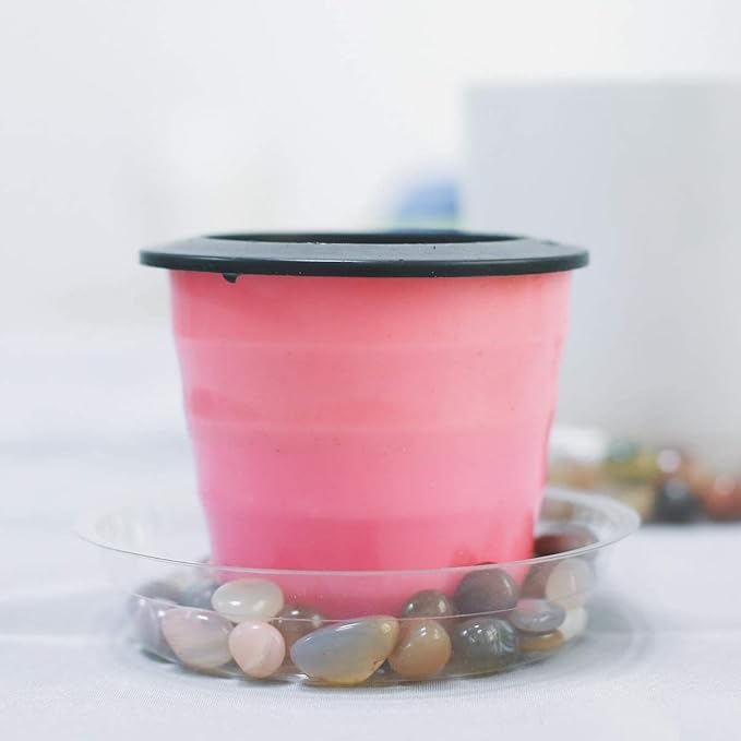 TRUEDAYS Clear Plant Saucers Flower Pot Tray Excellent for Indoor & Outdoor Plants, 6 Inch 10 Pack