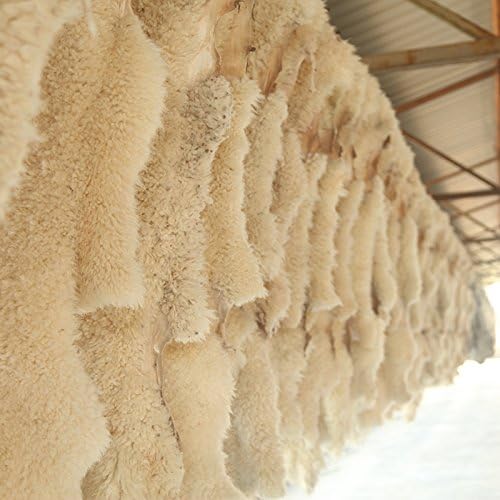 OGLAND 2 Pack Car Seat Belt Cover Cushion, Fluffy Soft Sheepskin Auto Should Seat Belt Pads, Neck Protector for Women Adults Baby Kids Pet (Golden Yellow)