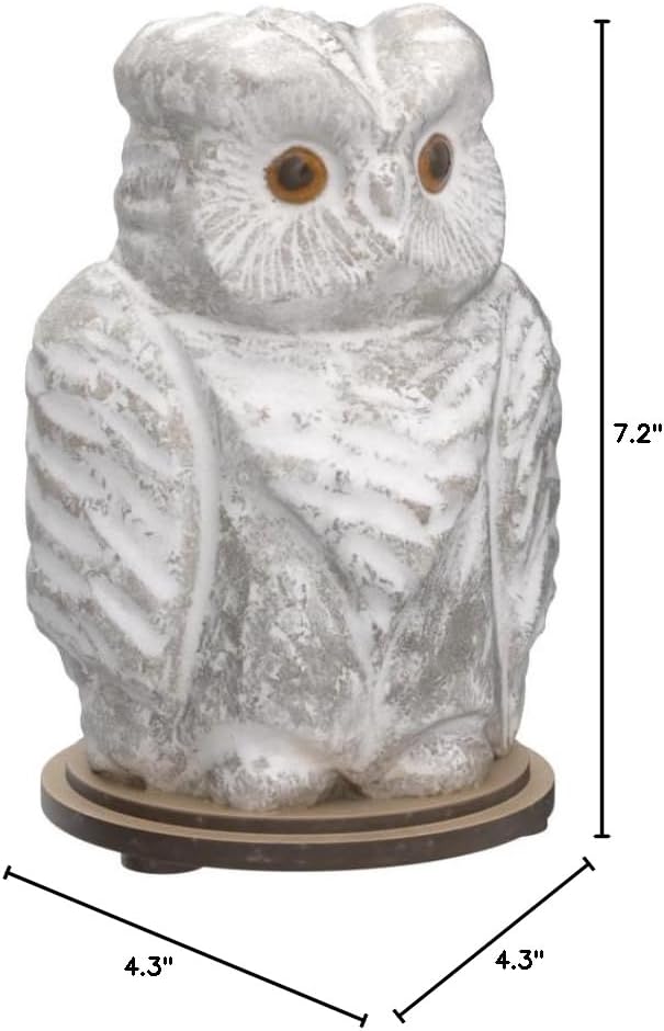Owl Crystal Salt Lamp H 6.7โ, 4.4 lbs - Pure Natural Rock Salt โ Unique Night Light Lamp - 1 Light Bulb as a Gift - Wooden Present Box - Holiday Gift Ideas - Cool Room Dรฉcor