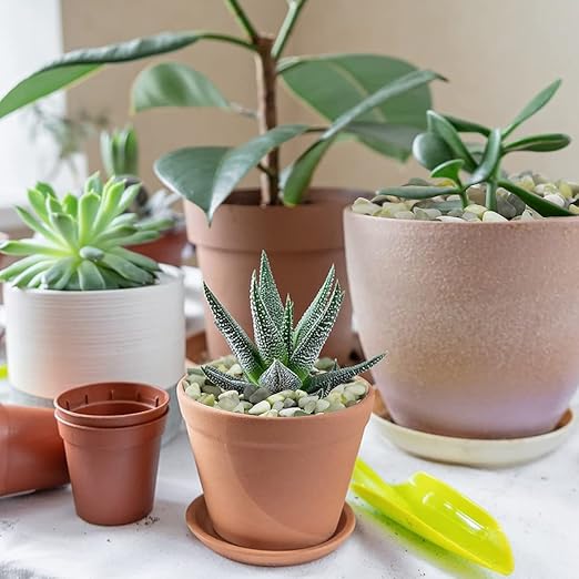 YISZM 10LB Succulent and Cactus Jade Pebbles, 3/8 Inch Natural Decorative Polished Stones, River Rocks for Indoor Plants, Vases, Planters and Outdoor Gardening