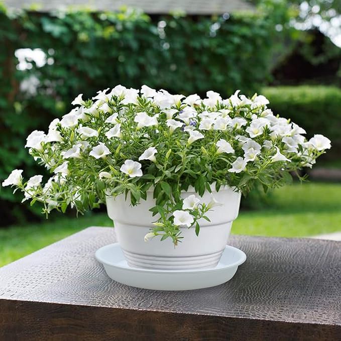 TITE 3 Pack Plant Saucer Heavy Duty Sturdy Drip Trays for Indoor and Outdoor (10 Inch, White)