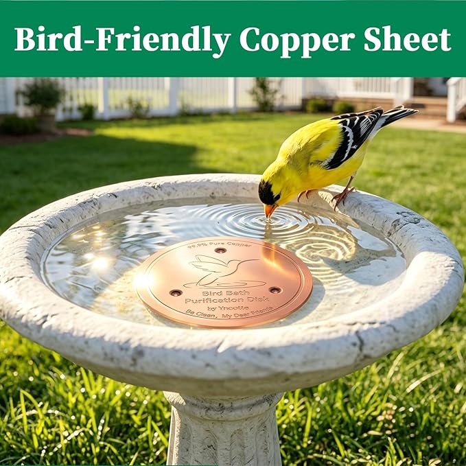 Bird Bath Copper Disk, 0.6mm Reinforced 99.99% Pure Copper Cleaning Disc Plate for Physical Safe Water Purification All-Season for Outdoor Wildlife Bird Bowls Birdbaths Solar