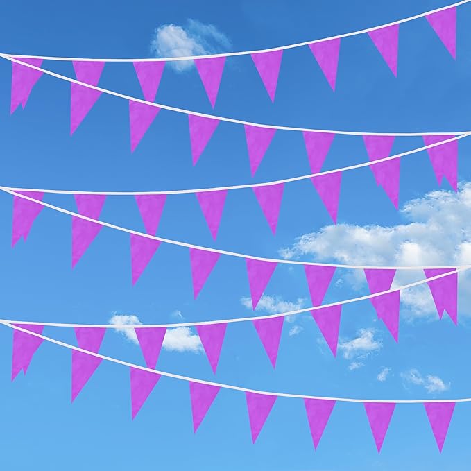 100 Feet Purple Pennant Banner Flags, 60 Pcs DIY Flag for Birthday, Party, Shops, Outdoor and Indoor Decorations, Festival Celebration (Purple)