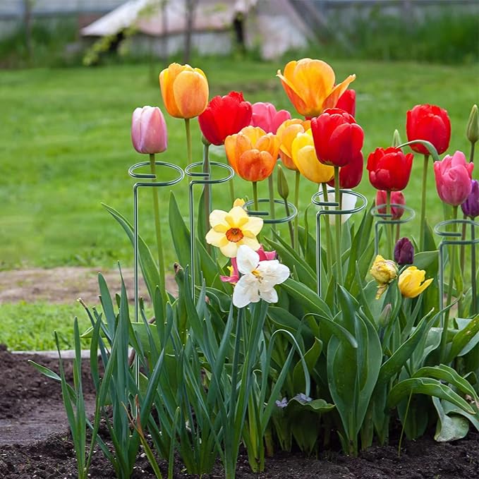 12 Pack 16 Inch Plant Support Stakes, Metal Single Stemmed Flower Support Hoops, Garden Plant Stakes Plant Props for Amaryllis, Orchid, Lily, Rose, Peony, Tomatoes, Gladiolus