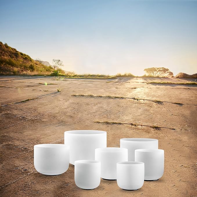 Ryan Dvan 432Hz 7-12 Inch 7 Chakra Crystal Singing Bowl Set Frosted Quartz Crystal Sound Therapy Kit with Suede Mallets 2 Travel Cases O-Ring Tool for Yoga Meditation Energy Balancing Reiki Healing