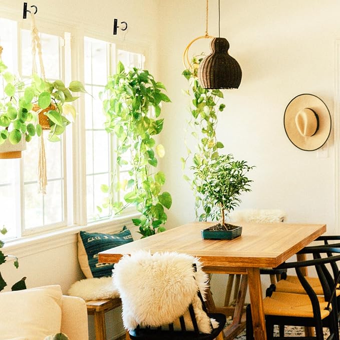 2Pack 2.5Inch Ceiling Hooks for Hanging Plant, Hanger for Indoor and Outdoor Plant Pots Holder, Wall Hook for Planters, Flower Basket, Wind Chimes, Lanterns, Lights, Bird Feeders, Home Decor