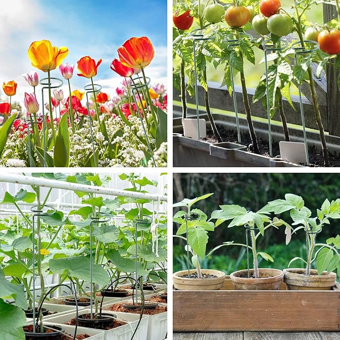 36 Inch 20 Packs Plant Support Stake Garden Single Stemmed Plant Support Hoops Plant Prop for Flowers Orchid Tomatoes Peony Lily Rose Gladiolus (36 inch)
