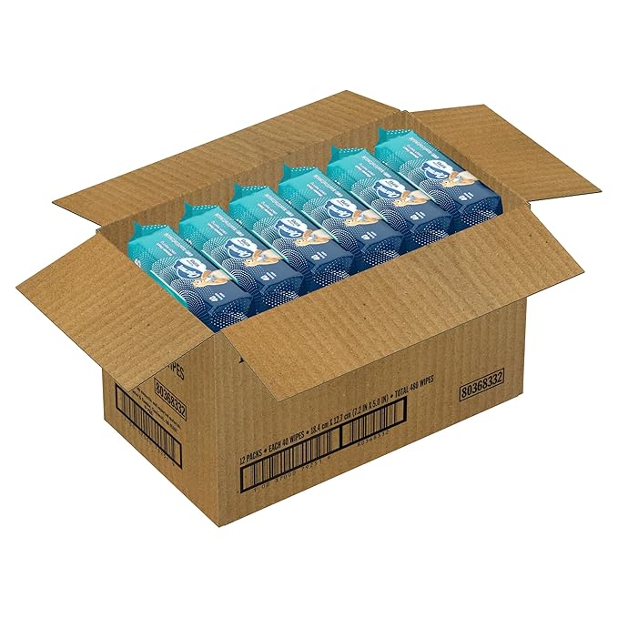 Charmin Flushable Wipes, 480 Total Wipes (12 Packs of 40)
