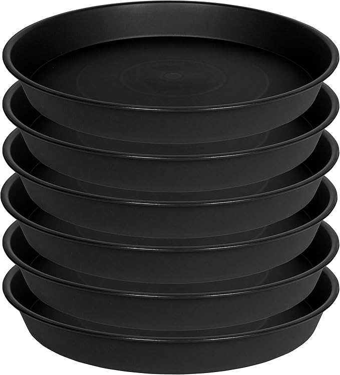 Bleuhome 6 Pack of 8 inch Plant Saucer, Heavy Duty Plastic Plant Water Tray, Pebble Tray, Flower Saucers for Indoors, Pot Saucers, Bird Bath Bowls, Plant Dishes for Planter 7"/8" (8", Black)