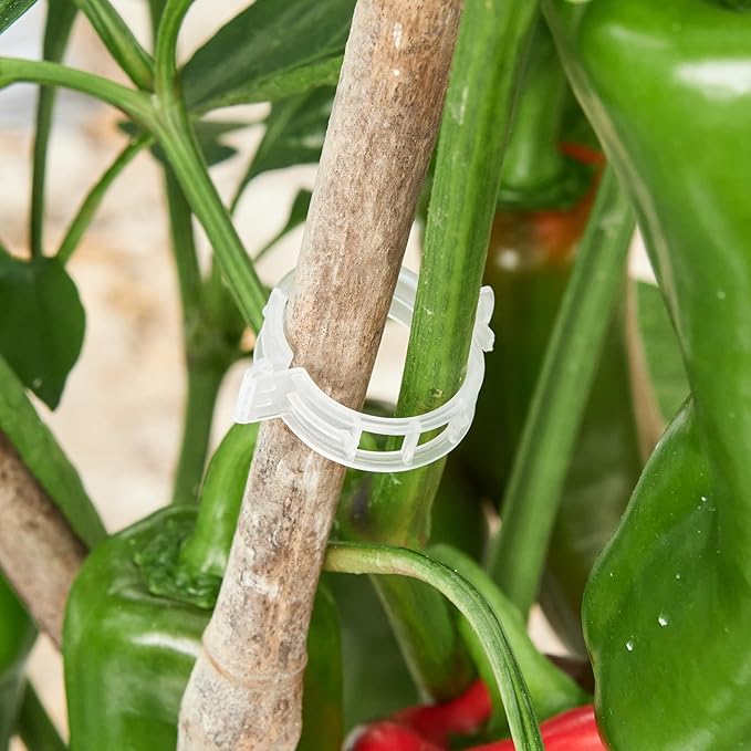 CIQIYO 100 Pcs Plant Support Clips,Plastic Clips for Securing Plants,Tomato Vine Clips,Plant Fixing Clips,Garden Clips for Climbing Plants,Grape and Vine Vegetables (100, White)
