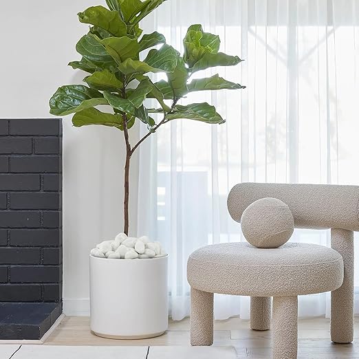 White Rocks for Plants, 2-3 Inch Large Pebbles for Indoor Plants, 5 lbs River Rocks Decorative White Stones, Ideal for Fish Tank, Vases, Crafting, Home Decor and Garden Landscaping Rocks