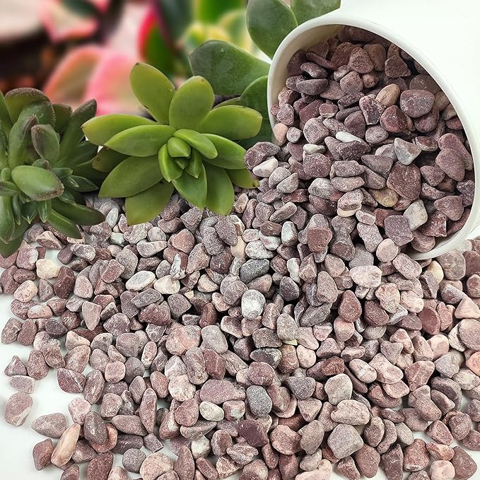 FANTIAN 10 lbs Pebbles for Plants, 3/8 Inch Pea Gravel Stones Decorative Red River Rocks for Succulent, Cactus, Landscaping, Vases, Terrarium, Aquarium, Potted Top Dressing and Outdoor Garden