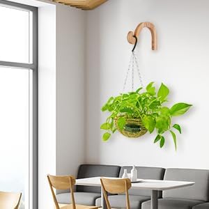 DSJIFGEW 7-Inch Hanging Plant Brackets, Arc-Shaped Wooden Plant Hanger Indoor, Wall Mount Hooks for Outdoor Hanging Bird Feeders, Flower Baskets Pots, Wind Chimes, Lanterns