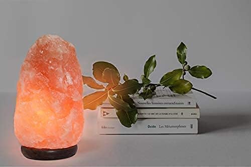 7 Inch Himalayan Salt Lamp with Dimmer Cord - Night Light Natural Crystal Rock Classic Wood Base Authentic from Pakistan