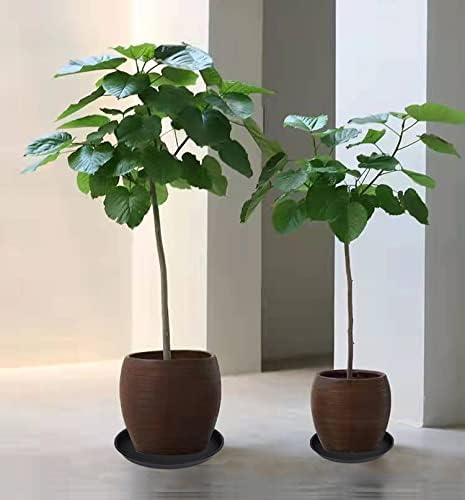 Bleuhome 2 Pack of 14 inch Plant Saucer, Heavy Duty Round Plant Trays for Pots, Plastic Plant Water Tray, Flower Plant Saucers for Indoors, Pot Drip Trays for Planter 12-14" (14", Black)