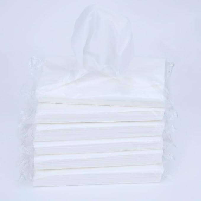 Car Tissue Refills, Facial Napkin Refills for Car Visor Tissue Holder - 600 Sheets, 12 Packs (12 Pack)
