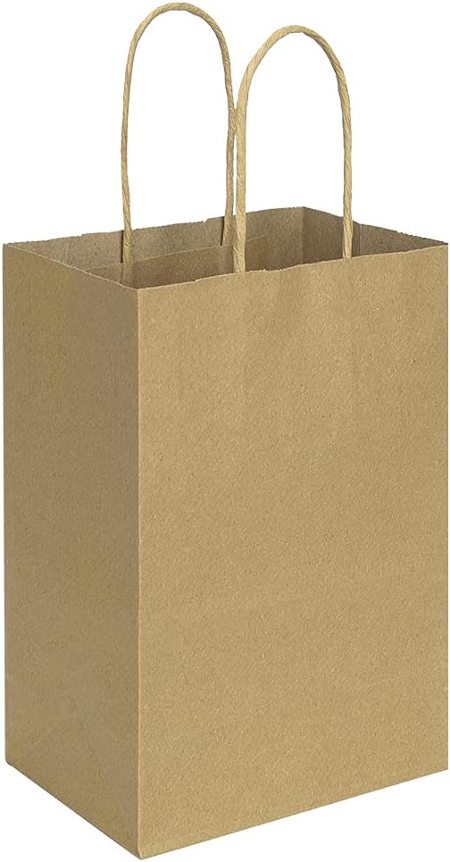 bagmad 100 Pack 5.25x3.25x8 Inch Brown Small Paper Bags with Handles Bulk, Gift Paper Bags, Kraft Birthday Party Favors Grocery Retail Shopping Takeouts Business Craft Sacks (Plain Natural 100pcs)