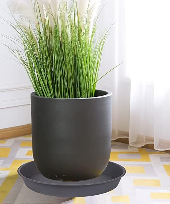 Bleuhome 6 Pack of 7-8 inch Plant Saucer, Heavy Duty Plastic Plant Water Tray 8 inch Round, Flower Plant Saucers for Indoors No Holes, Plant Dishes Saucer for Planter 7"/8" (8", Cement Gray)