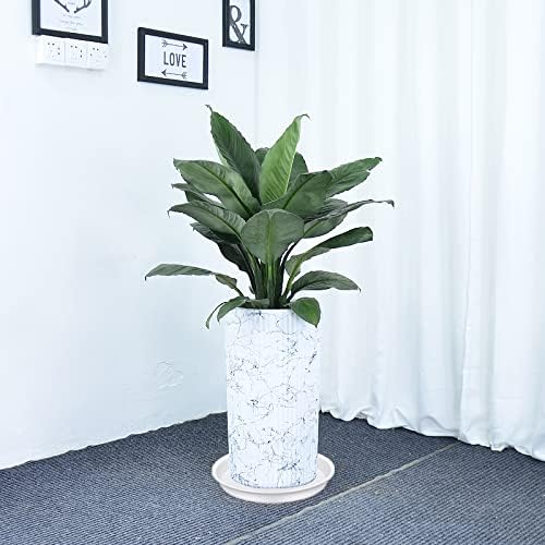 Bleuhome 6 Pack of 12 inch Plant Saucer, Heavy Duty Plastic Plant Saucer 12" Round, Plant Tray for Pots, Flower Plant Saucers for Indoors, Plant Trays for Planter 11"/12" (12 inch, Creamy White)