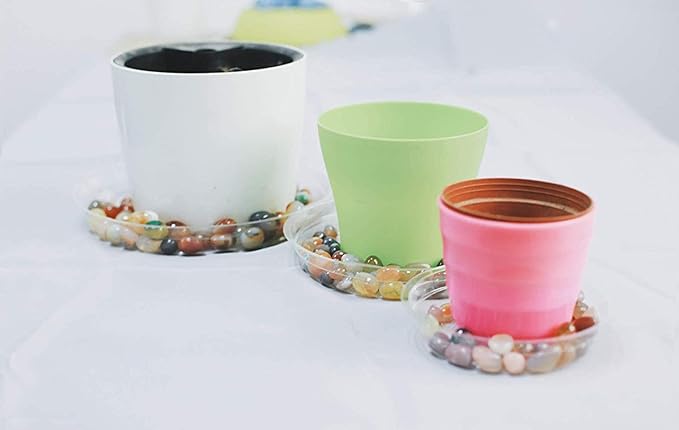 TRUEDAYS Clear Plant Saucers Flower Pot Tray Excellent for Indoor & Outdoor Plants, 6 Inch 10 Pack