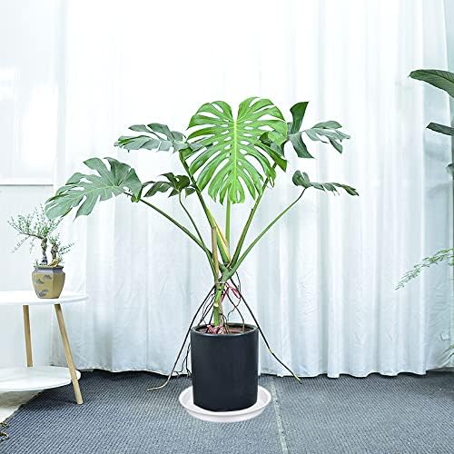 Bleuhome 4 Pack of 14 inch Plant Saucers, Plant Saucer 14" Round, Plastic Plant Tray for Flower Pots, White Planters for Indoor Plants, Plant Trays for Planter 12-15" (14", Creamy White)