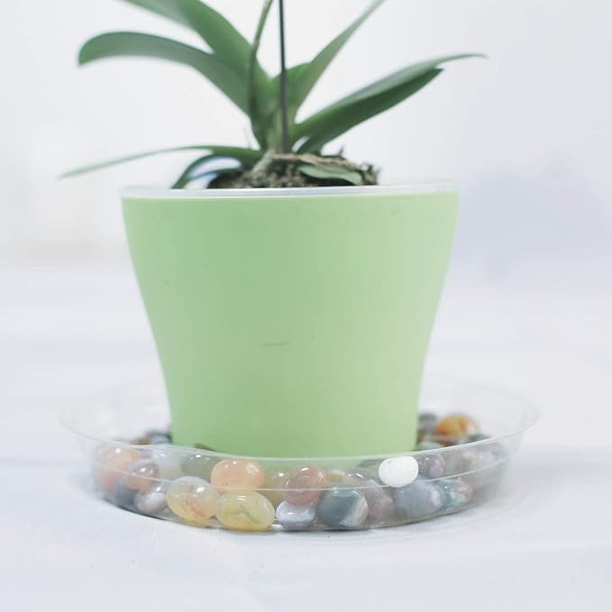 TRUEDAYS Clear Plant Saucers Flower Pot Tray Excellent for Indoor & Outdoor Plants, 6 Inch 10 Pack