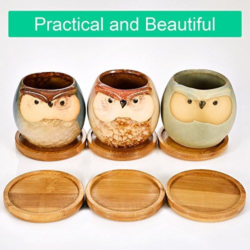 Frienda Trays 2.52 Inch Bamboo Round Plant Saucer for Most Plant Pot Flower Saucers Tray, Solution for Owl Pot with Hole(6 Pack)