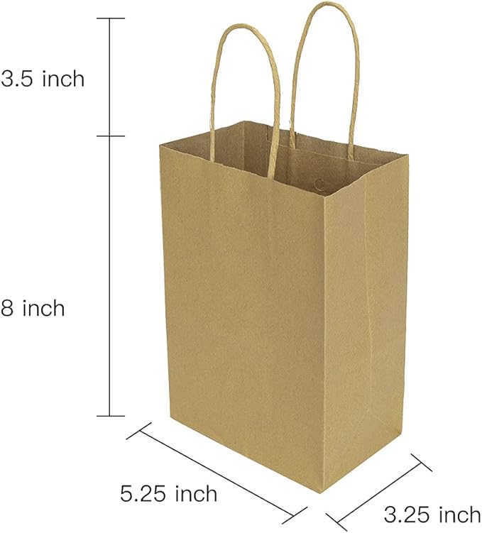 bagmad 100 Pack 5.25x3.25x8 Inch Brown Small Paper Bags with Handles Bulk, Gift Paper Bags, Kraft Birthday Party Favors Grocery Retail Shopping Takeouts Business Craft Sacks (Plain Natural 100pcs)