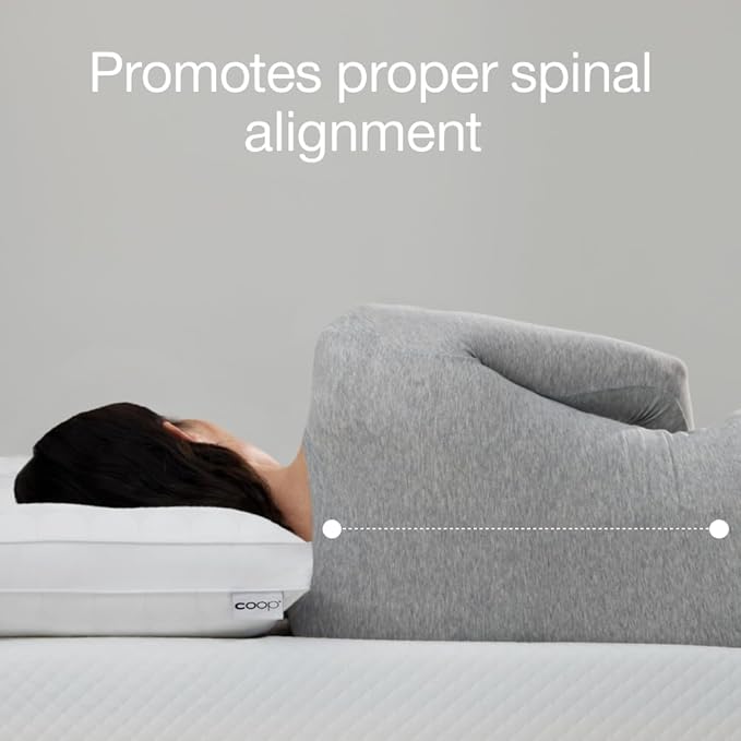 Coop Home Goods Essence Cooling Down Alternative Pillows Set of 2, King Size Adjustable Cooling Pillow for Hot Sleepers, Luxury Cool-to-The-Touch Hotel Pillows for Stomach, Back, or Side Sleepers