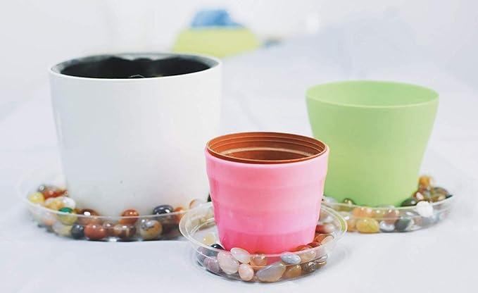 TRUEDAYS Clear Plant Saucers Flower Pot Tray Excellent for Indoor & Outdoor Plants, 6 Inch 10 Pack