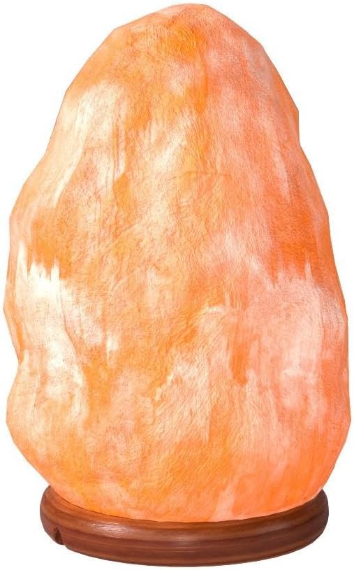 The Body Source Himalayan Salt Lamp | 8-10 in (7-11 lb) | Natural Salt Rock Lamp with Dimmer Switch & Wooden Base | Night Light & Bulb Replacement
