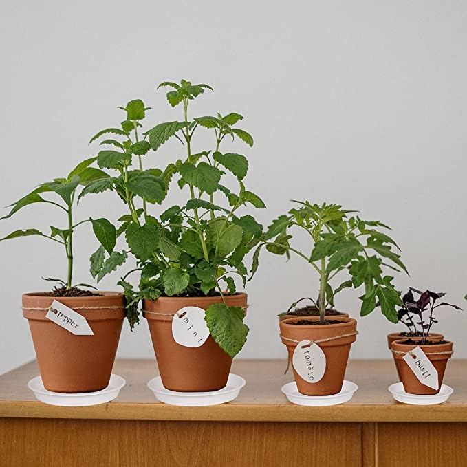 Bleuhome 6 Pack Plastic White Plant Saucers for Potted Plants, 4 5 6 7 8 9 10 11 12 14 inch, Flower Pot Water Trays for Indoor Outdoor Ceramic or Plastic, Plant Containers Indoor (6", Creamy White)