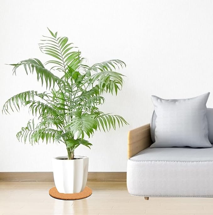 Venyat 10 Pieces 3 Sizes Cork Plant Coasters, 4/6/8 Inch Cork Plant Mats, Cork Coaster for Planters, Plant Coasters for House Plants Indoors (Nude & Black)