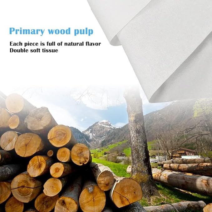 Car Tissue Refills, Facial Napkin Refills for Car Visor Tissue Holder - 600 Sheets, 12 Packs (12 Pack)