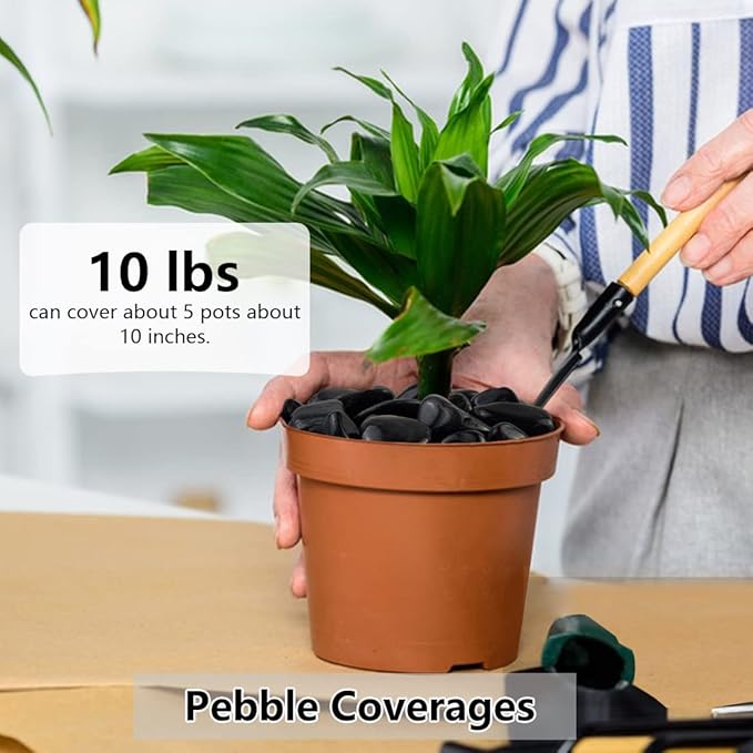 5lbs Black Pebbles for Plants, 1-2 Inch High Polished Natural River Rocks for Landscaping, Decorative Stones Vase Filler Fish Tank Aquariums Garden Outdoor and Indoor DIY