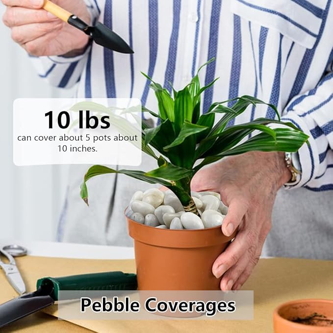 10lbs White River Rocks, 1-2 Inch Natural Pebbles for Indoor Plants, High Polished Decorative Stones Vase Filler Fish Tank Aquariums Landscaping Garden Outdoor and Indoor DIY