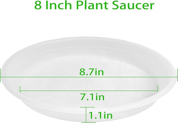 Grjoprt 6 Pack Clear Plant Saucer 8 inch, Heavy Duty Plastic Plant Water Tray, Planter Saucers, Flower Pot Tray, Planter Tray, Bird Bath Bowls, Water Trays for Plant Pots 7"/8" (Clear)