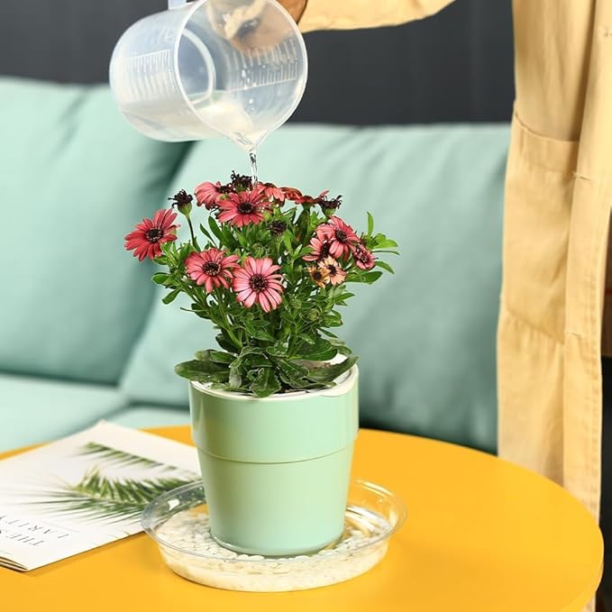 50 Packs 14" Large Clear Plant Saucers for Indoor Outdoor Use Heavy Duty Plastic Plant Trays for Planter Bulk Flower Pot Drip Trays to Catch Water, 4 to 20 Inch