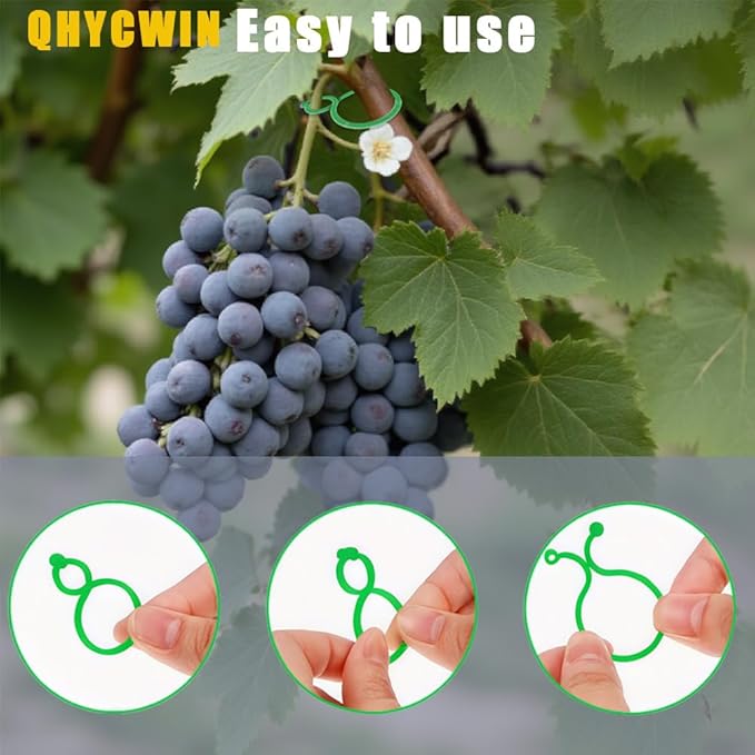 300 Pcs Plant Support Clips, 2 Types in 1 Pack, Plastic Garden Clips for Tomato, Grape, Cucumber, Vine Plants, Reusable Plant Clips for Climbing Plants (Green White)