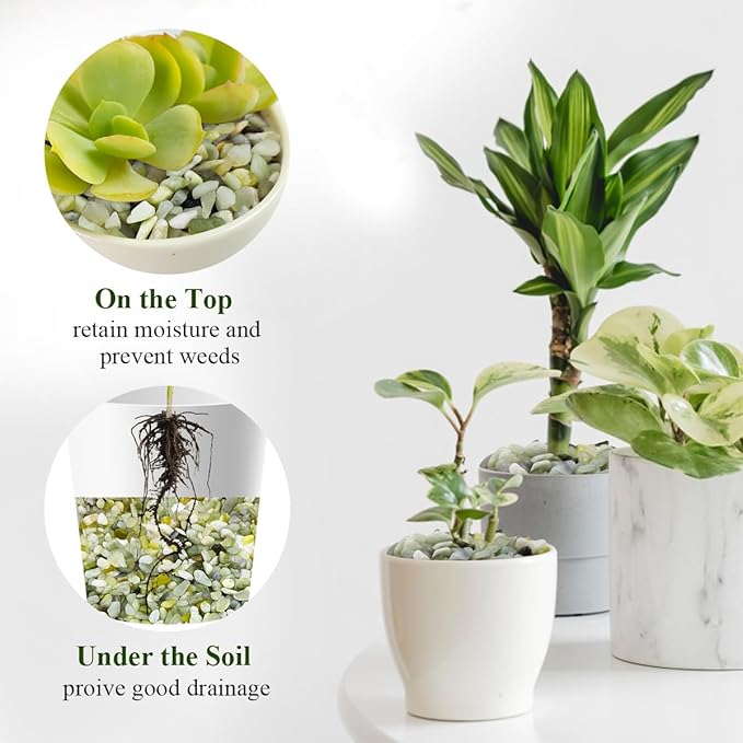 FANTIAN 2 lbs Jade Rocks for Plants Indoor, 3/8 inch Small Pebbles for Indoor Plants, Decorative Rocks for Succulents Cactus Bamboo Vases Landscaping Drainage and Outdoor Garden Rocks