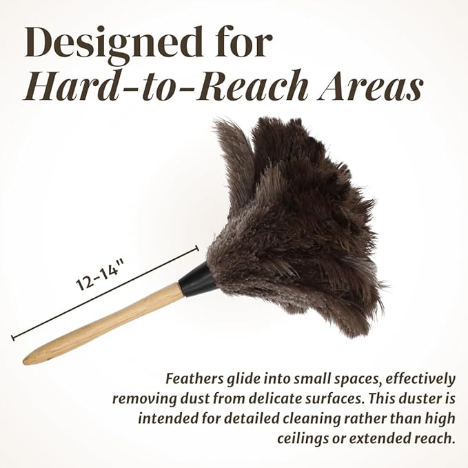 Ostrich Feather Duster with Wooden Handle 14" – Natural Reusable Feather Duster for Cleaning, Furniture & Shelves, Blinds, Ceiling Fan, Dusting Tool for Home, Office, Delicate Surfaces - 1 Pack