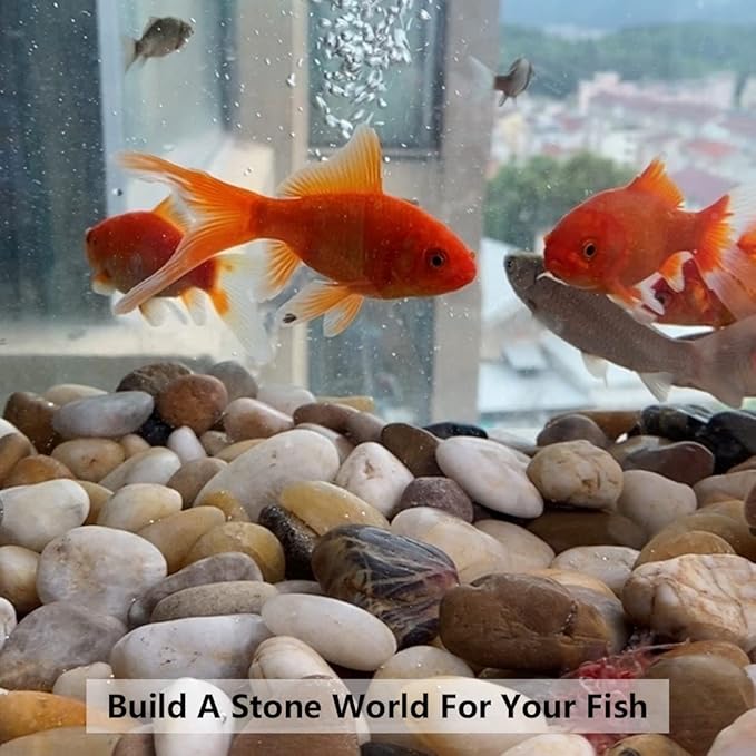 River Rocks for Landscaping, Natural Polished Pebbles for Indoor Plants, Small Decorative White Stones for Vase Fish Tank Aquariums Landscaping Garden, 20lbs