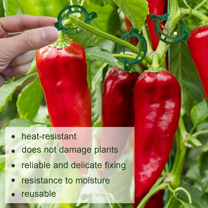 PEOUWNES 200 Pcs Plant Support Tomato Clips, Garden Clips, Crop Clips for Vine Vegetables, Fixing Tomato, Sweet Pepper, Eggplant, Makes Plants Grow Upright and Healthier（Green）