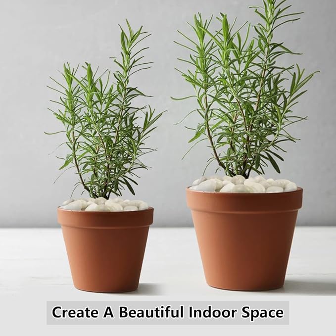 White Pebbles for Indoor Plants, Natural Polished River Rocks, Small Decorative Stones for Planters Vase Fish Tank Aquariums Landscaping Garden, 10lbs