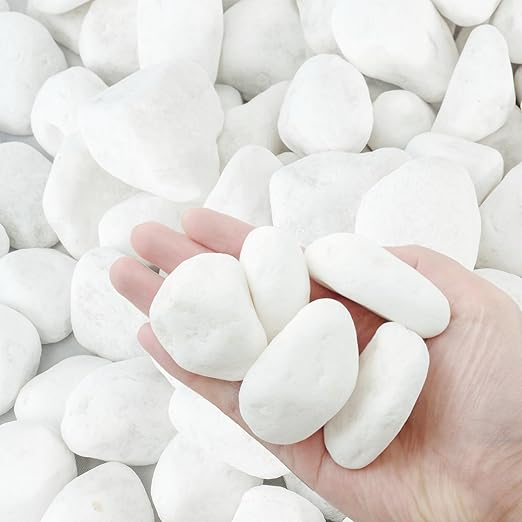 White Rocks for Plants, 2-3 Inch Pebbles for Indoor Plants, 10 lbs River Rocks Decorative Stones, Ideal for Fish Tank, Vases, Crafting, Home Decor and Garden Landscaping Rocks