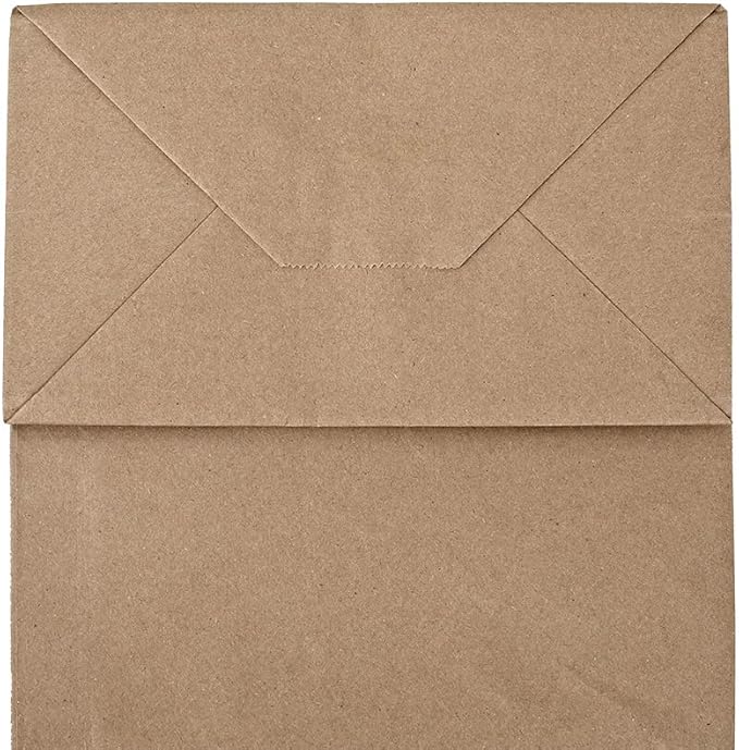 bagmad 100 Pack 8x4.75x10 Inch Plain Medium Paper Bags with Handles Bulk, Brown Kraft Craft Gift Bags, Grocery Shopping Retail Birthday Party Favors Wedding Sacks (Natural Brown, 100pcs)