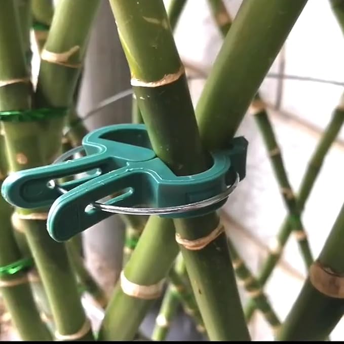 URANT 60 Garden Plant Clips,Plant Support Clips Hold Plant Stems, for Multi-Purpose Plants Rattan Clip Rose, Sturdy Cucumber Orchid Clip Plant Support Adjustable Clip Green (Large 60Pcs), DHYWJ-01