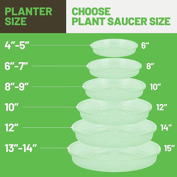 MUDEELA 6 Pack of 6 Inches Plant Saucers for Indoor, Durable Plastic Round Plant Tray Plant Dish Pant Plate to Catch Water for Flower and Plant Pot, Thicker, Stronger, Deeper, Clear