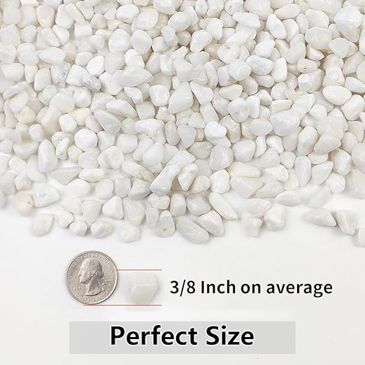 YISZM 10LB Succulent and Cactus Gravel Pebbles, 3/8 Inch Natural Decorative Polished Stones, River Rocks for Plants, Vases, Aquariums, Terrarium and Outdoor Gardening, White