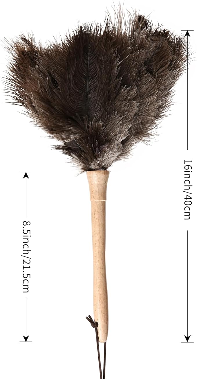 Daieeparty Ostrich Duster Fluffy Natural Feather Dusters with Wooden Handle Cleaning Supplies for Home Office Car (1, 16inch)